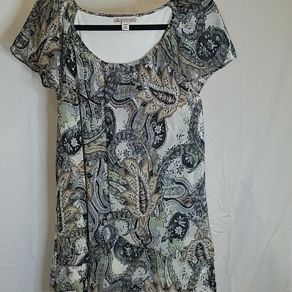 Dress Barn dressy summer tunic 2X
